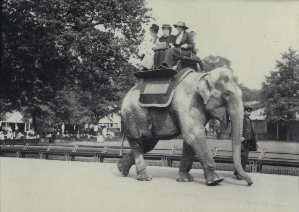 Tři dámy se v londýnské zoo, květen 1914, svezou na asijském slonovi pod vedením chovatele od Frederick William Bond