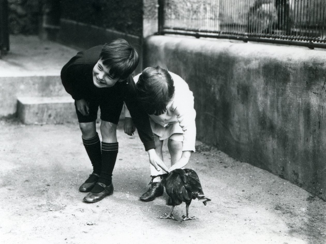 Dva mladí návštěvníci se v londýnské zoo v červnu 1914 setkají s krotkou Caracarou pruhovanou od Frederick William Bond