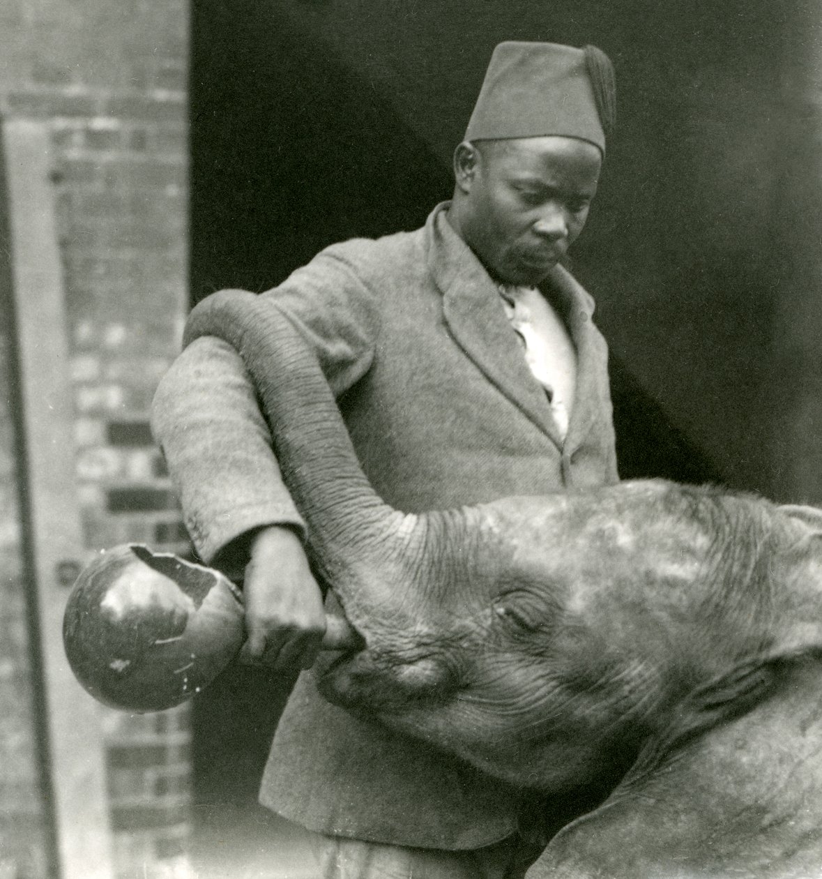 Darisha dává napít mladému slonovi africkému Kiberenge, zatímco Syed Ali se dívá na pozadí, Londýnská zoo, září 1923 (černobílá fotografie) od Frederick William Bond