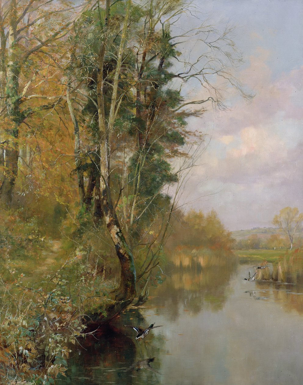 Řeka Frome, Morton nr Dorchester, 1901 od Frederick William Newton Whitehead