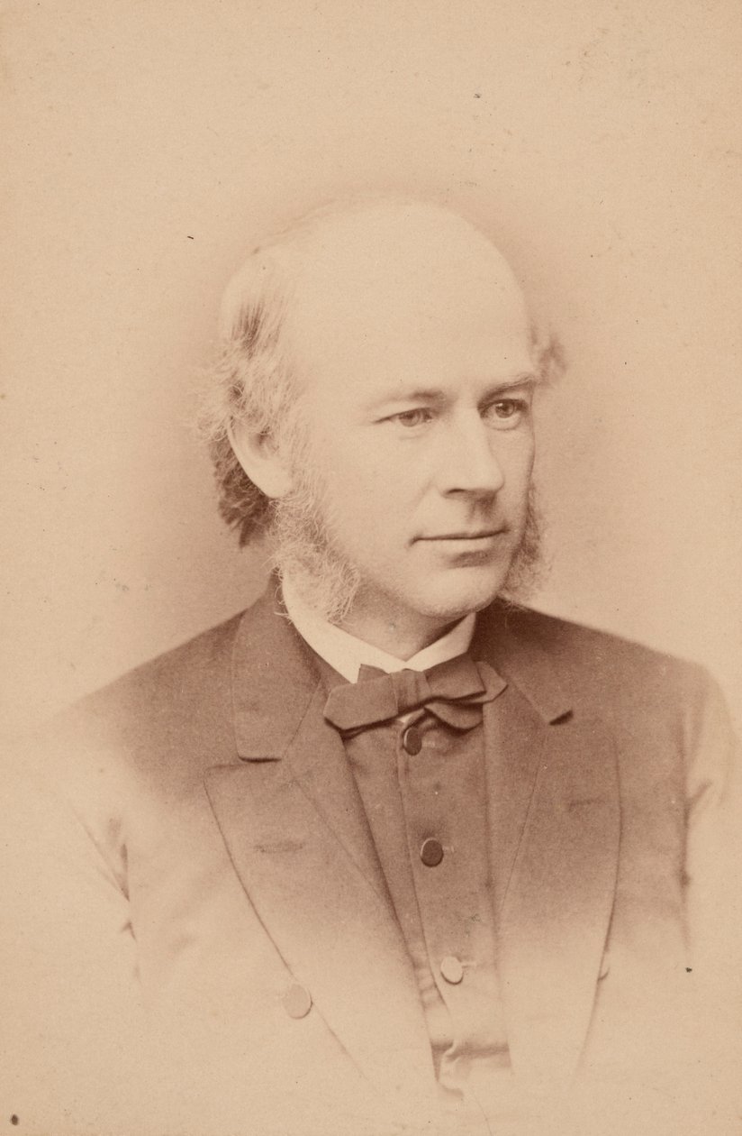 Portrét Williama Cassadyho Cattella 1827-1898, 1876. od Frederick Gutekunst