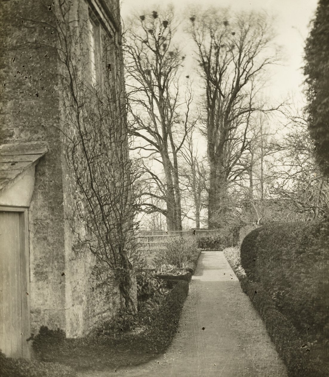 Kelmscott Manor: V zahradě od Frederick H. Evans