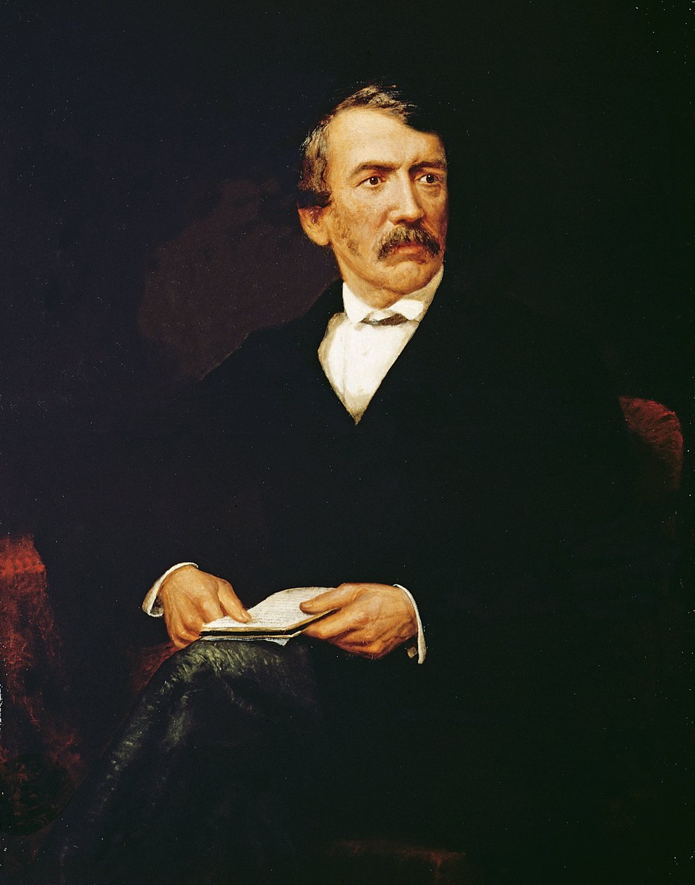 Portrét Livingstona (1813-1873) od Frederick Havill