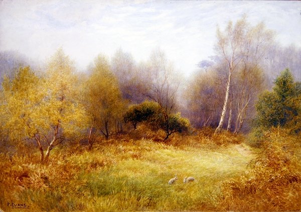 Králíci na lesní mýtině (akvarel na papíře) od Frederick Henry Evans