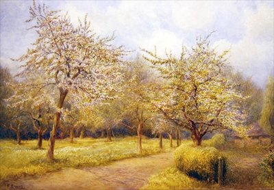 Stromy v květu (akvarel na papíře) od Frederick Henry Evans