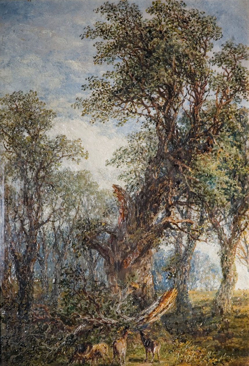 Zlomená větev, 1881. od Frederick Henry Henshaw