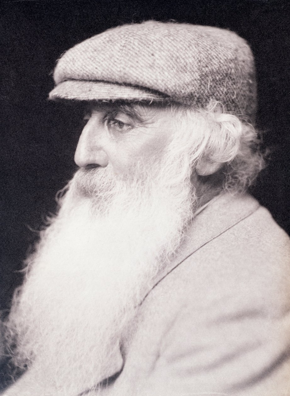 Camille Pissarro, francouzský impresionistický malíř, c1890-1903 od Frederick Hollyer