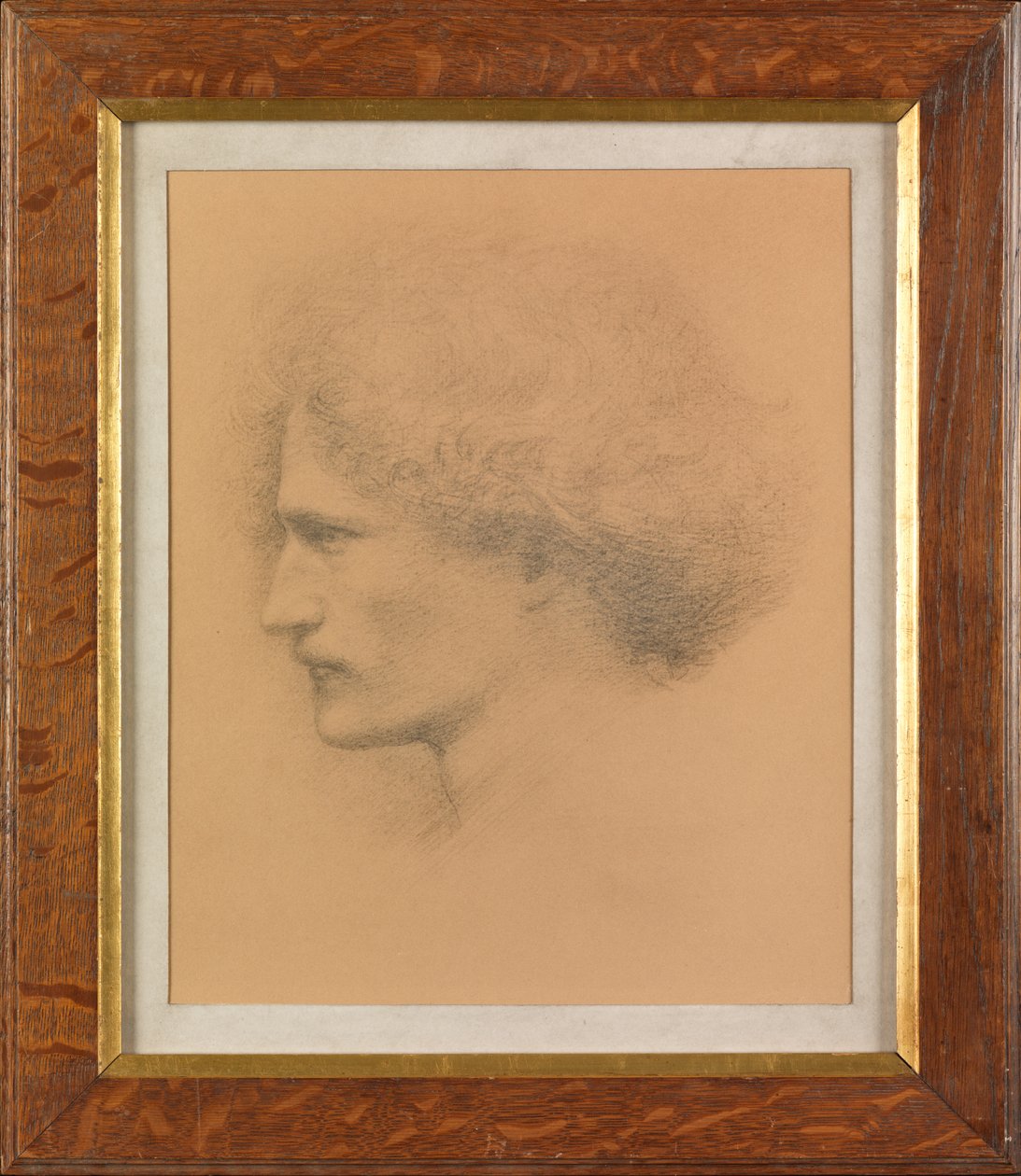 Ignacy Jan Paderewski (platinotypie) od Frederick Hollyer