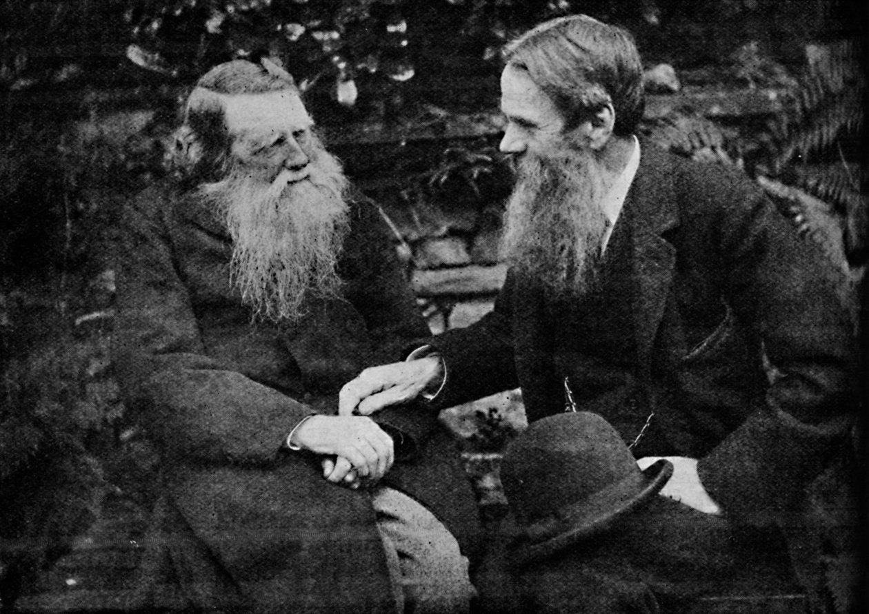 Ruskin a Holman Hunt užijí si rozhovor o umění, c1925 od Frederick Hollyer
