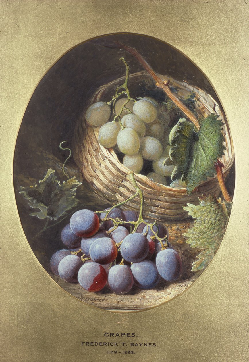 Červené a bílé hrozny od Frederick Thomas Baynes