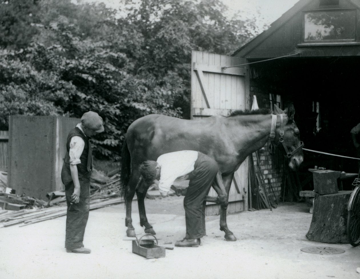 V roce 1924 byl v londýnské zoo oděn mezek od Frederick William Bond