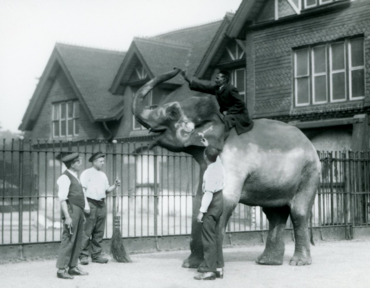 Zdobený slon indický, se třemi chovateli a trenérem, před Elephant House v londýnské zoo v roce 1927 od Frederick William Bond