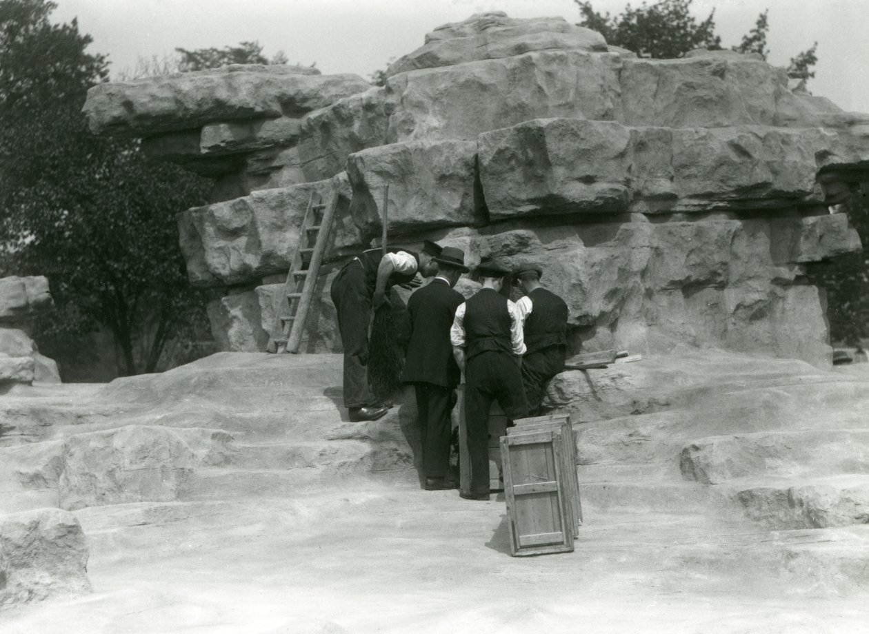 Skupina chovatelů vybaluje posvátné paviány mezi skalami „Monkey Hill“ v londýnské zoo od Frederick William Bond