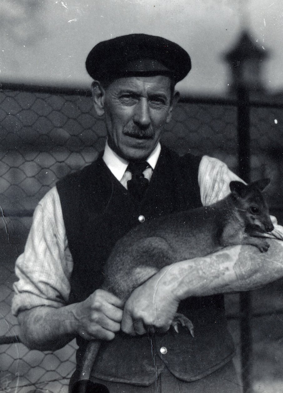 Ošetřovatel drží valašku, říjen 1920 (čb foto) od Frederick William Bond