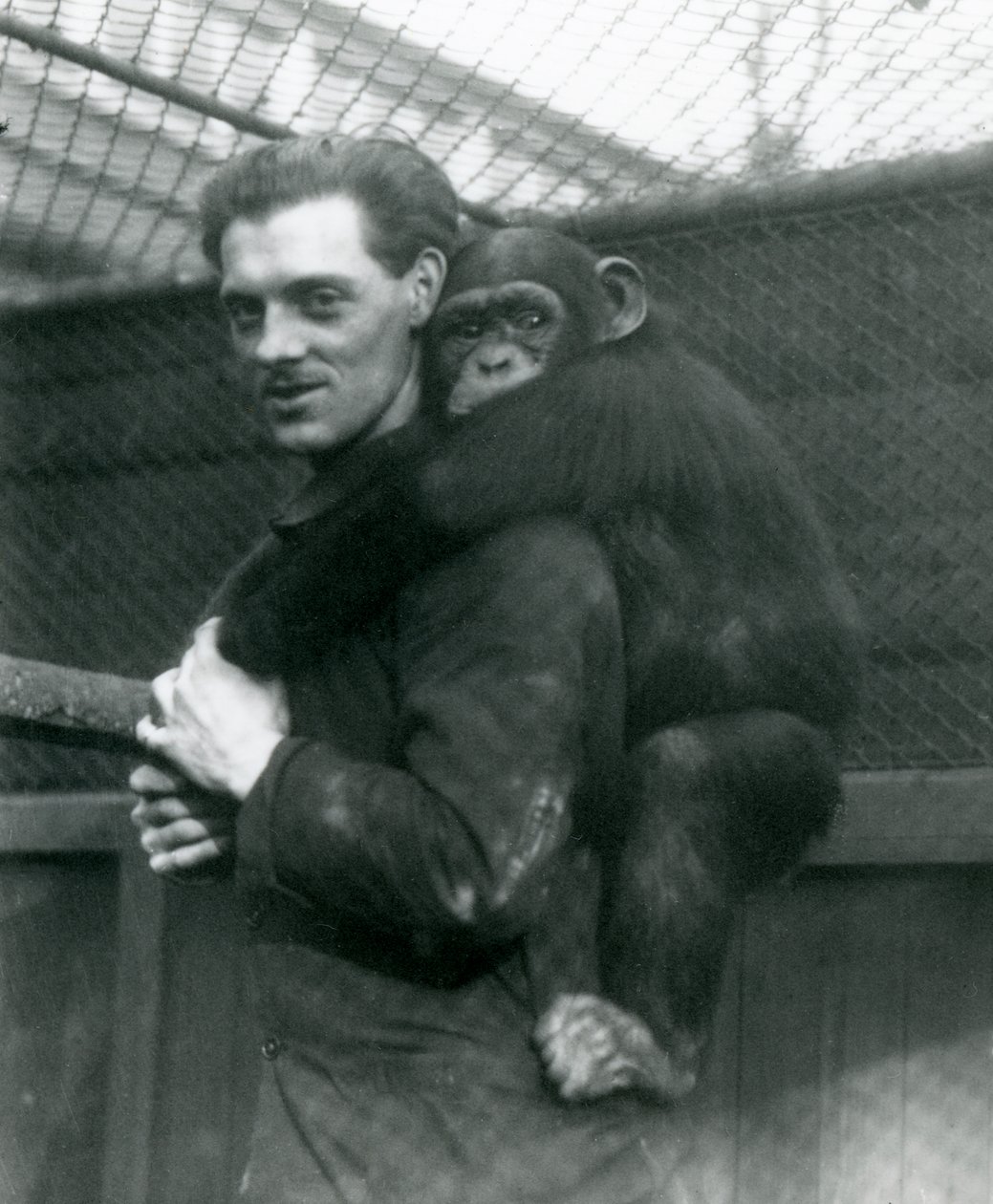 Muž nese šimpanzi Sally na zádech, Londýnská zoo, 1924 od Frederick William Bond