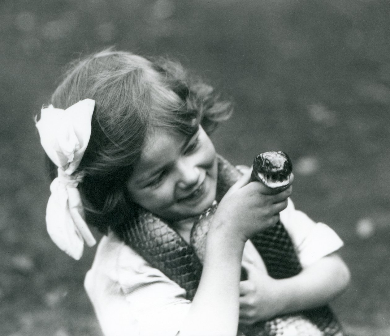 Mladá dívka Betty drží hada indigovce východního, Londýnská zoo, 1924 od Frederick William Bond
