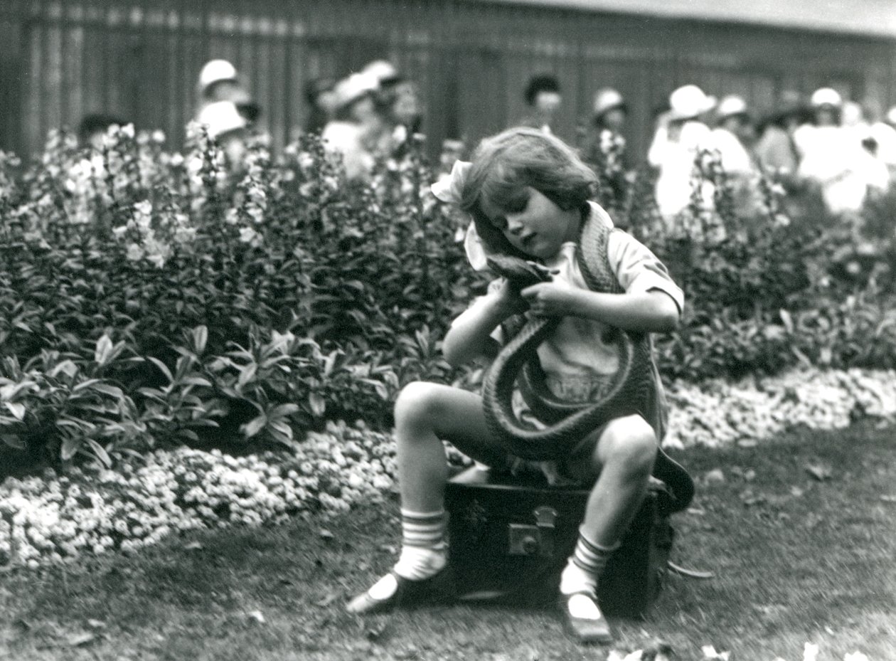 Mladá dívka Betty držící východního indigového hada, zatímco sedí na koženém kufru, Londýnská zoo, 1924 od Frederick William Bond