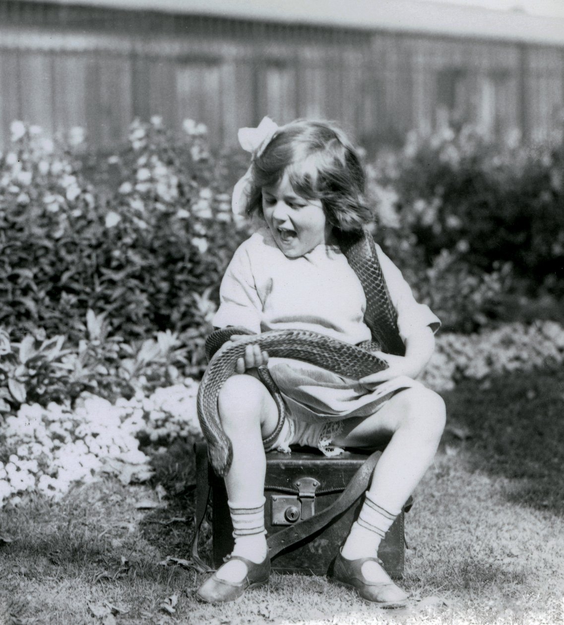 Mladá dívka Betty držící východního indigového hada, zatímco sedí na koženém kufru, Londýnská zoo, 1924 od Frederick William Bond