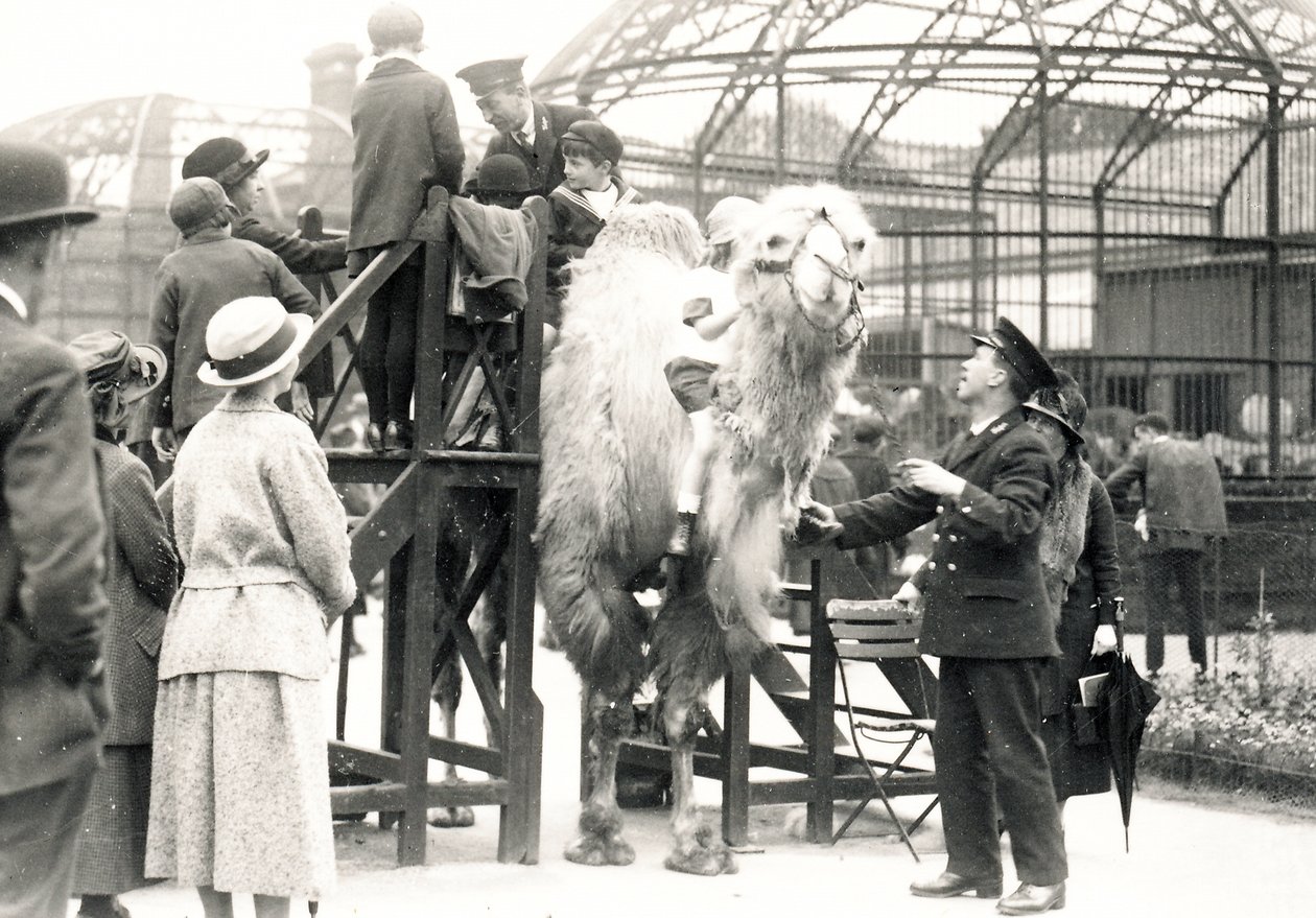 Jízda na velbloudu s chovatelem H. Warwickem od Frederick William Bond
