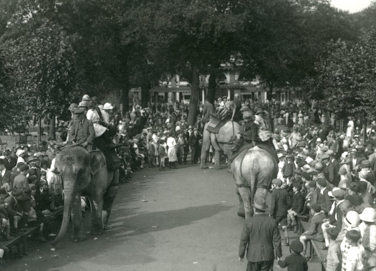 Vyjížďky na slonech se třemi asijskými slony sledovanými davy přihlížejících v londýnské zoo v srpnu 1926 (černobílá fotografie) od Frederick William Bond
