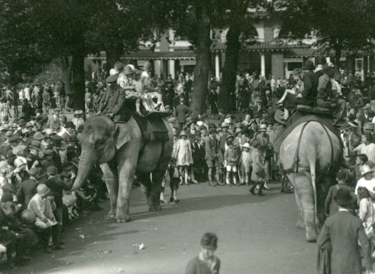 Vyjížďky na slonech se dvěma asijskými slony sledovanými davy přihlížejících v londýnské zoo v srpnu 1926 (černobílá fotografie) od Frederick William Bond