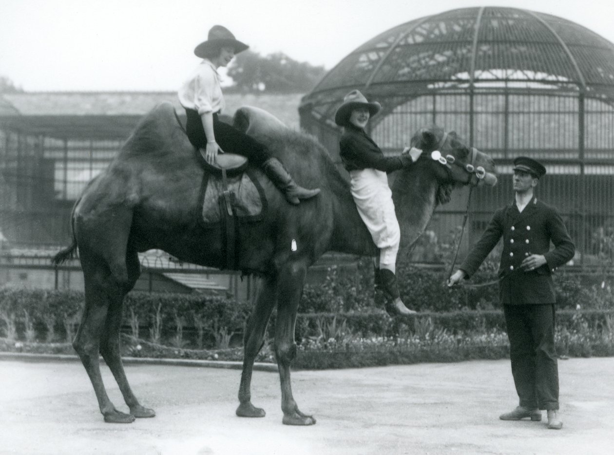 Dvě kovbojky pózují na dvoukřídlém velbloudovi, kterého drží jeho chovatel, během návštěvy londýnské zoo v roce 1924 od Frederick William Bond