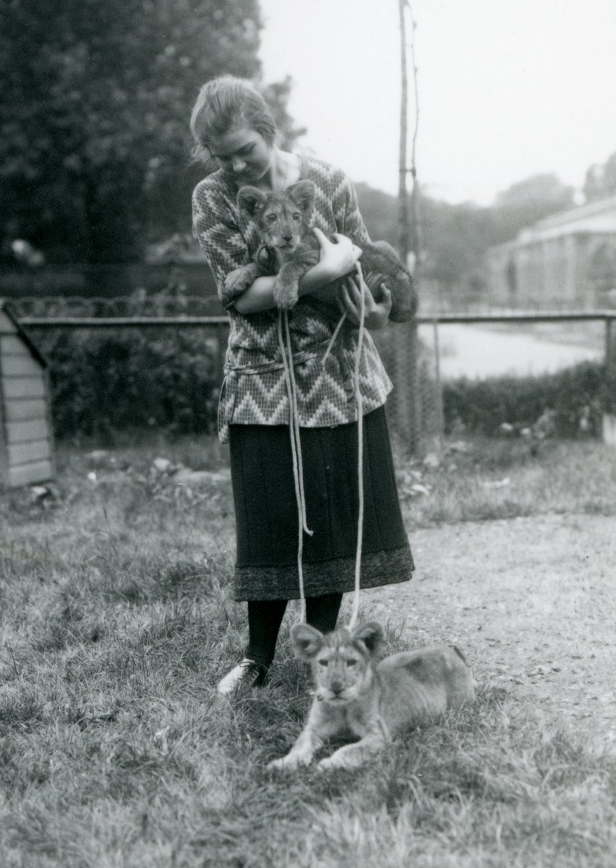 Dvě lvíčata s mladou ženou v londýnské zoo v srpnu 1925 od Frederick William Bond