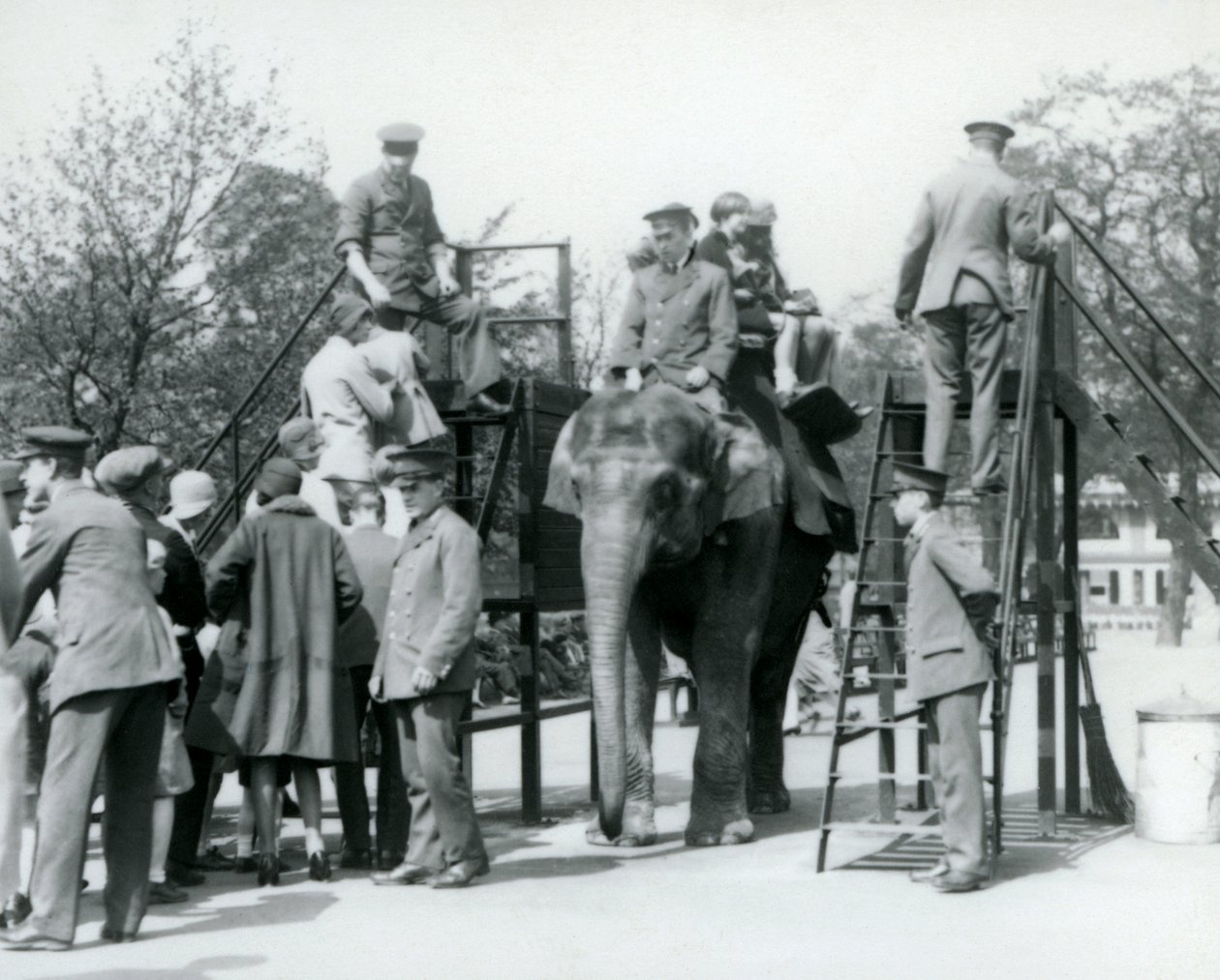 Návštěvníci čekají ve frontě na projížďku na slonech, zatímco ostatní nastupují za pomoci pěti ošetřovatelů, Londýnská zoo, 1927. od Frederick William Bond