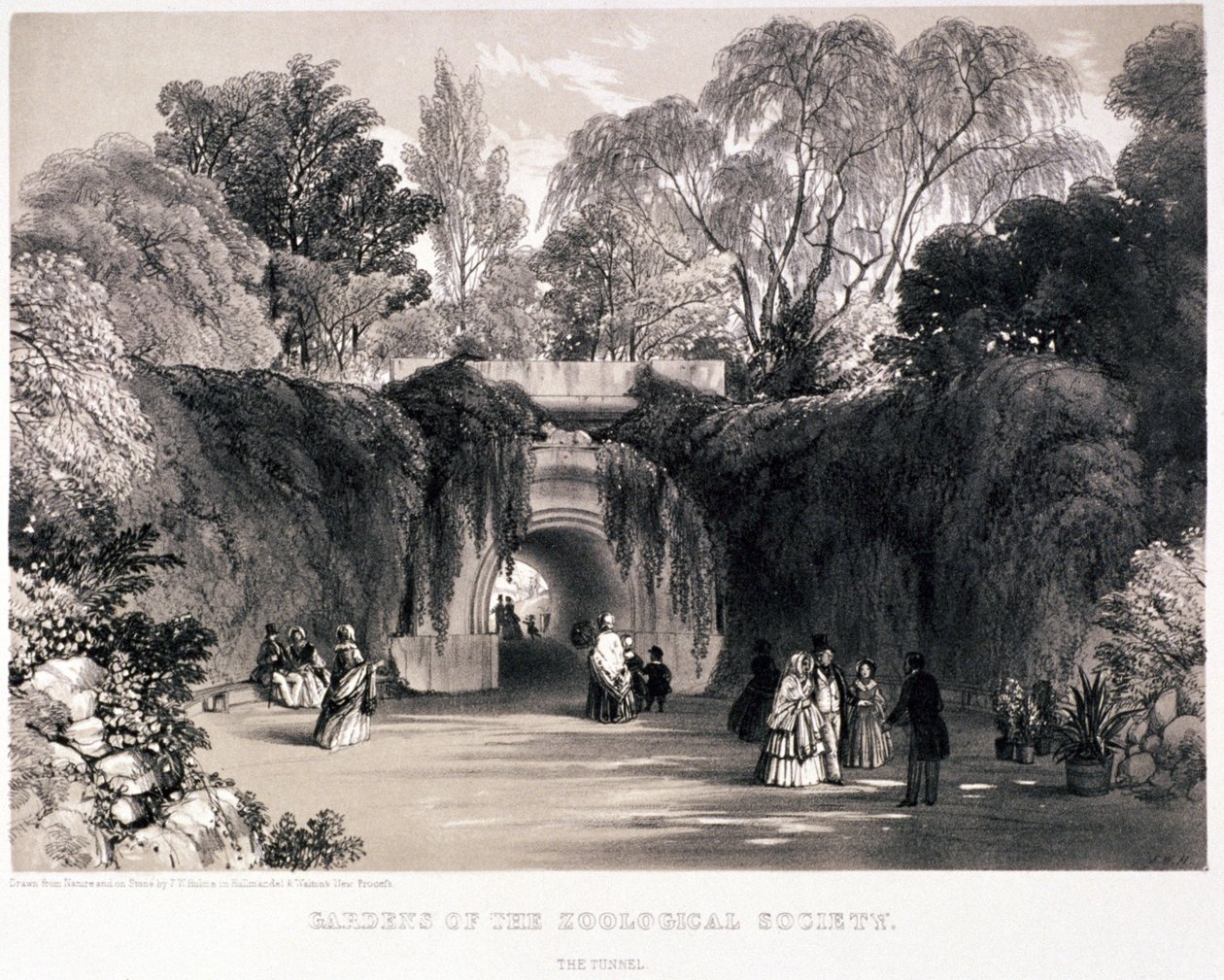 Zoologická zahrada, Regent