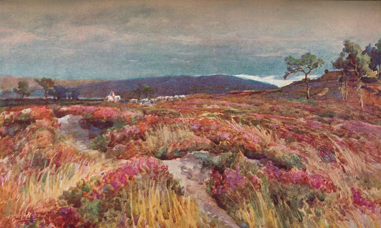 On The Heath Lytchett Minster, c1904 od Frederick William Newton Whitehead