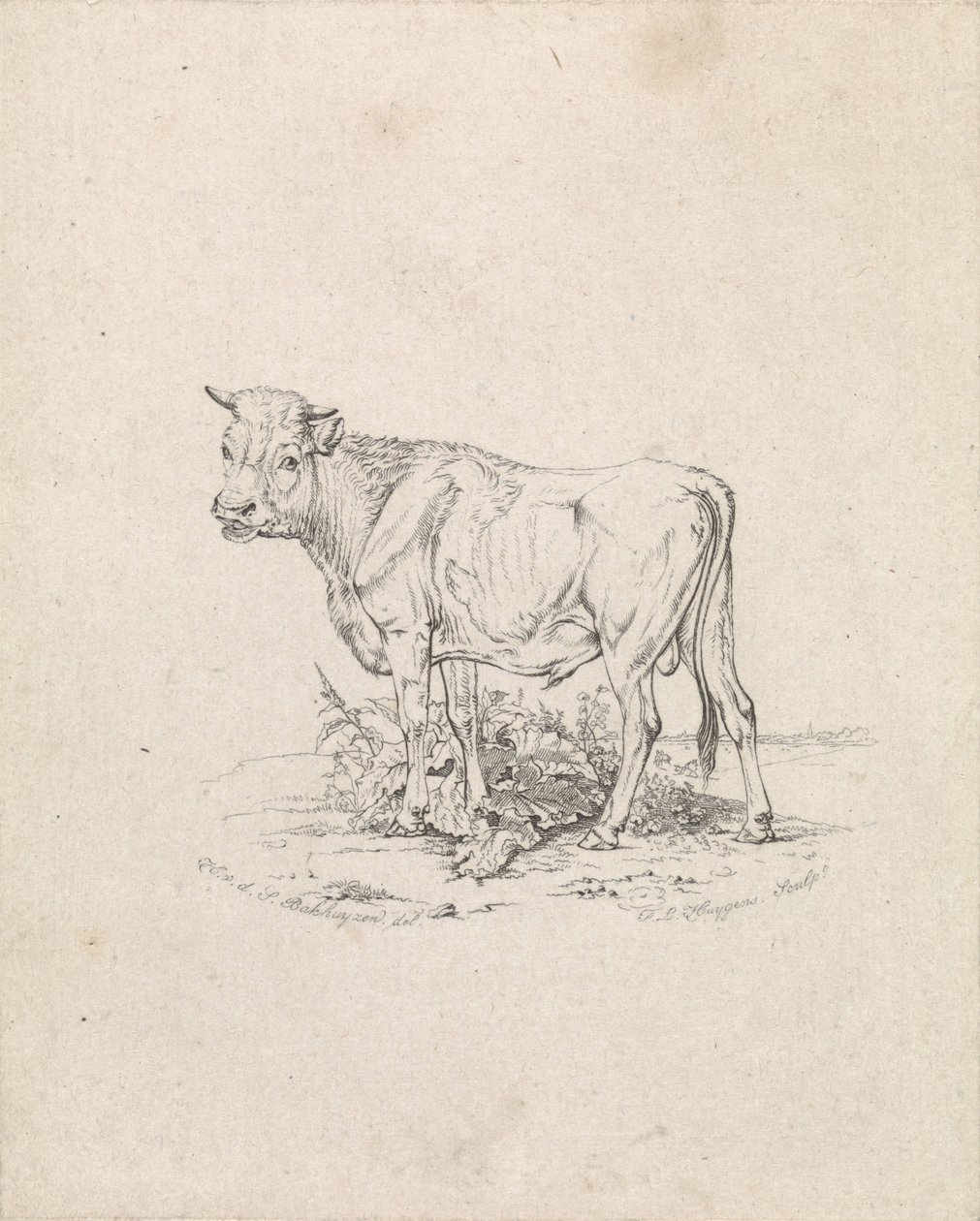 Stezky od Frederik Lodewijk Huygens