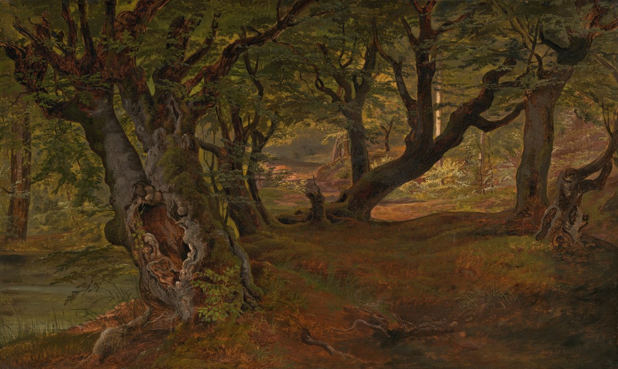 Pohled na les Bregentved, Sjaelland, polovina 30. let 19. století. od Frederik Sødring