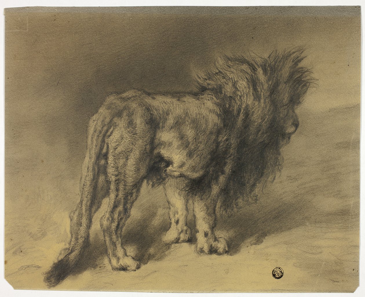 Stojící lev s huňatou hřívou od Frederik William Zurcher