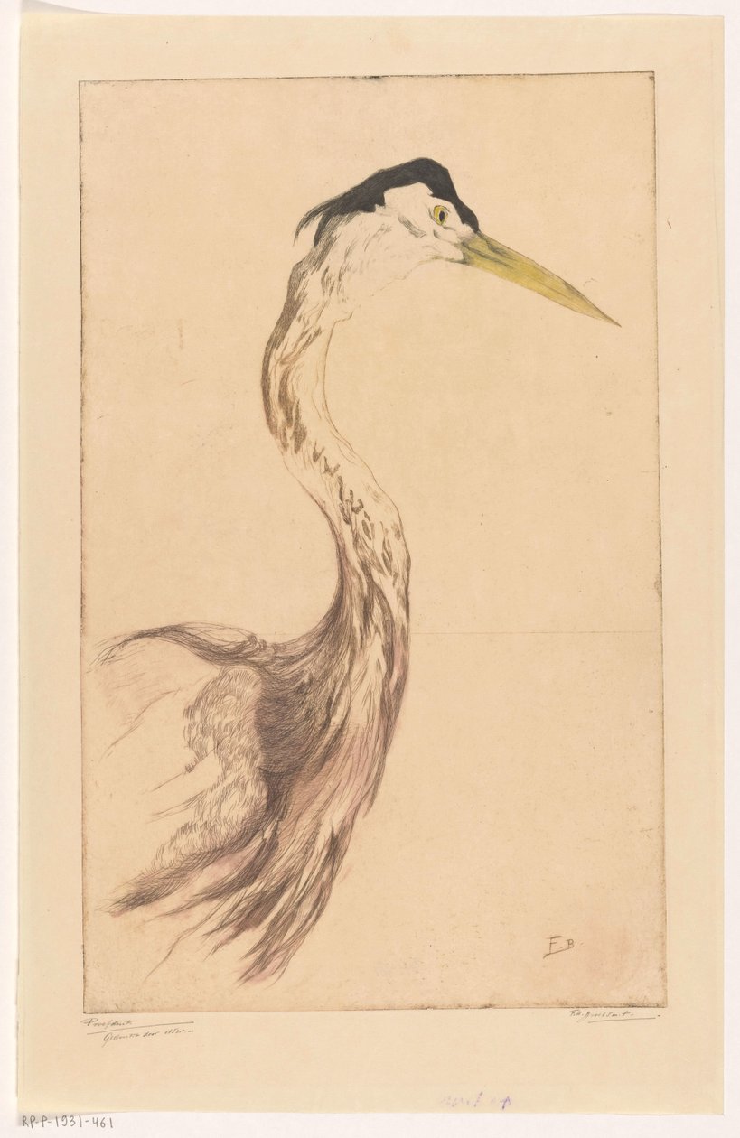 Volavka od Frederika Henriëtte Broeksmit (signed by artist)
