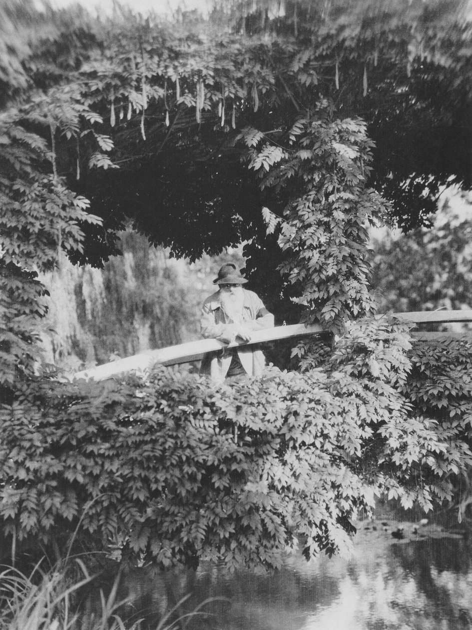 Claude Monet (1841-1926) na japonském mostě ve své zahradě v Giverny od French Photographer