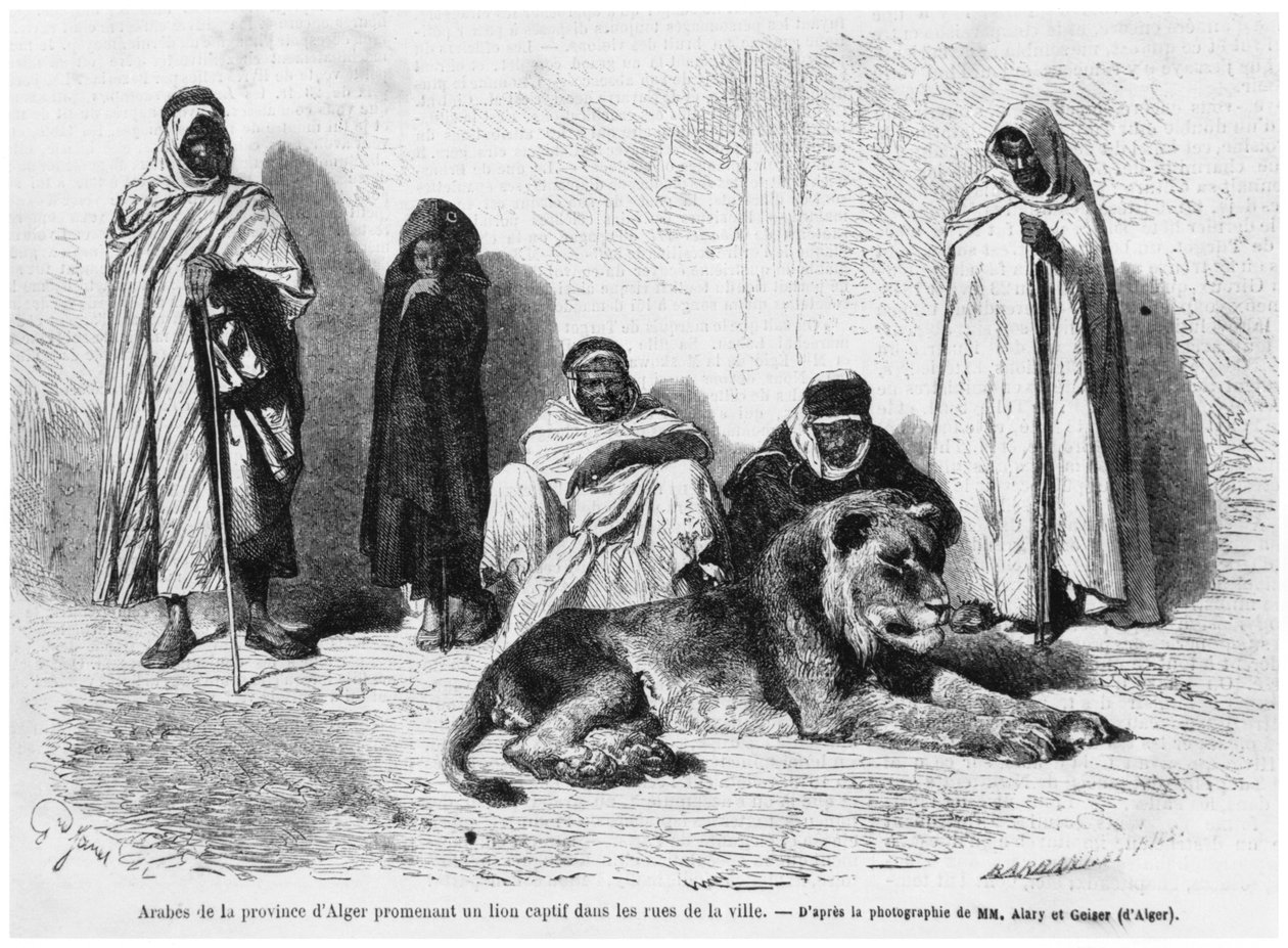 Skupina arabských mužů z provincie Alžír, procházející se se zajatým lvem v ulicích města, z Le Monde Illustre, leden 1864 od French Photographer
