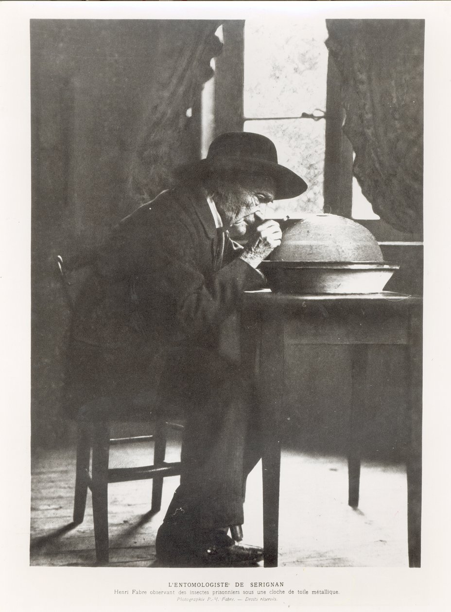 Jean-Henri Fabre (1823-1915) pozorování hmyzu, ze Souvenirs Entomologiques, publikoval v roce 1924 od French Photographer