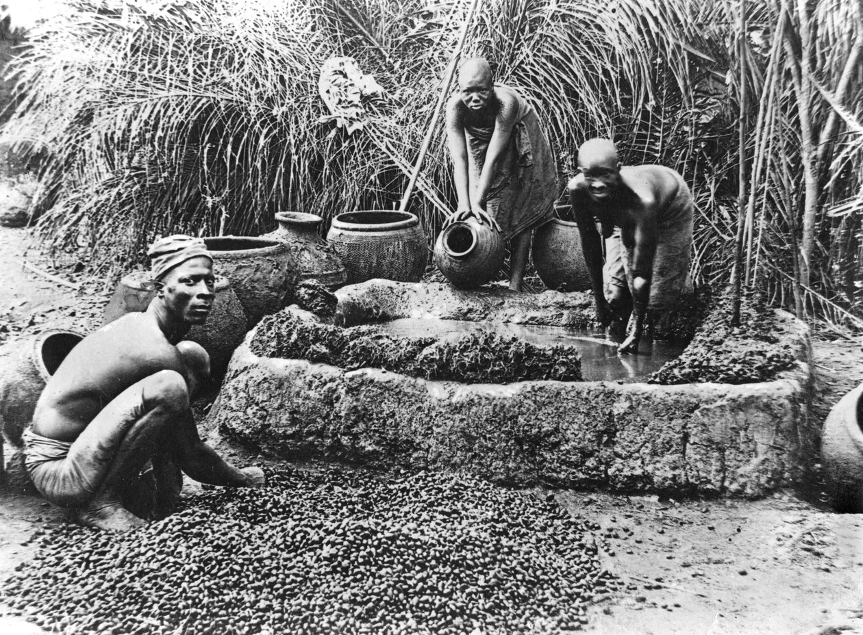 Výroba palmového oleje v Dahomey, kolem roku 1900 od French Photographer