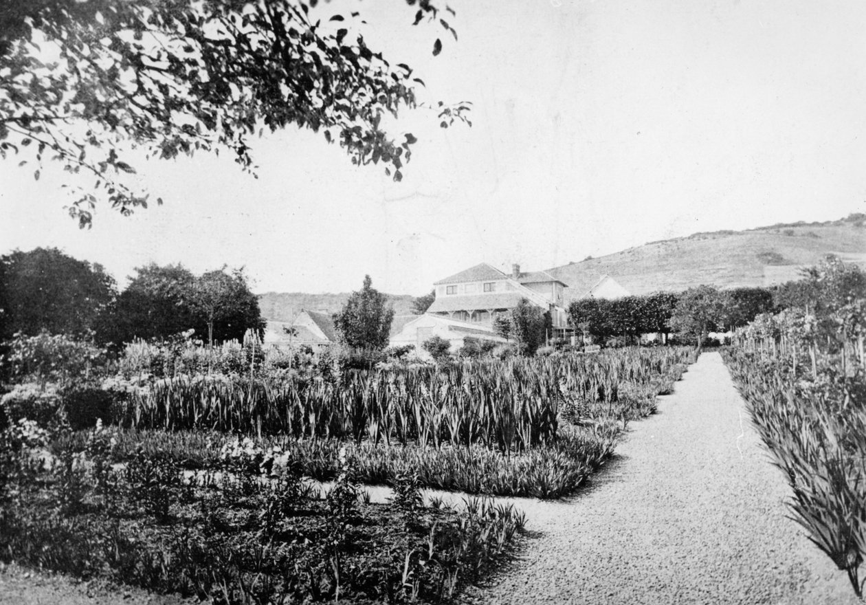 Monets Garden, Giverny, kolem roku 1908 od French Photographer