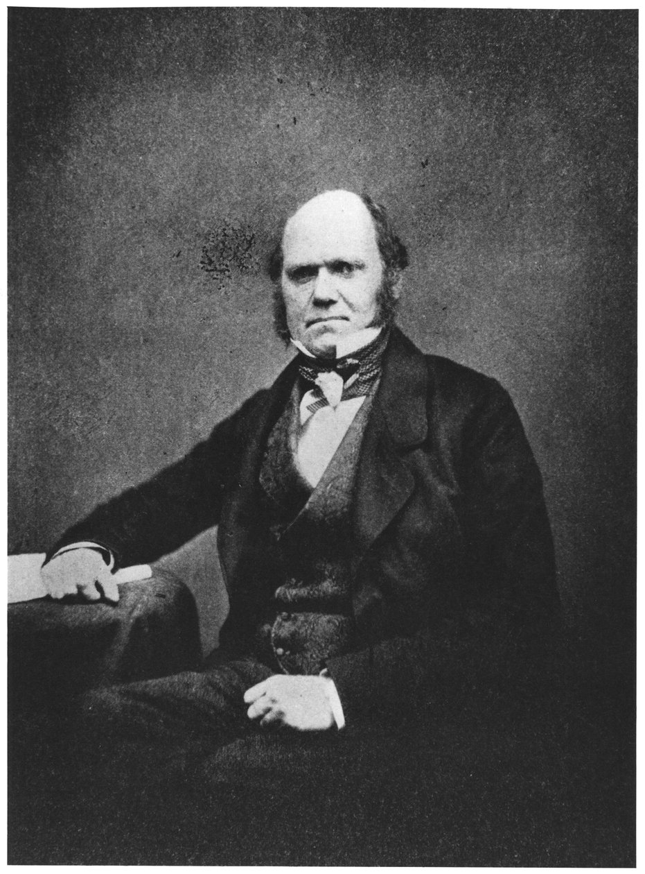 Portrét Charlese Darwina (1809-82) od French Photographer