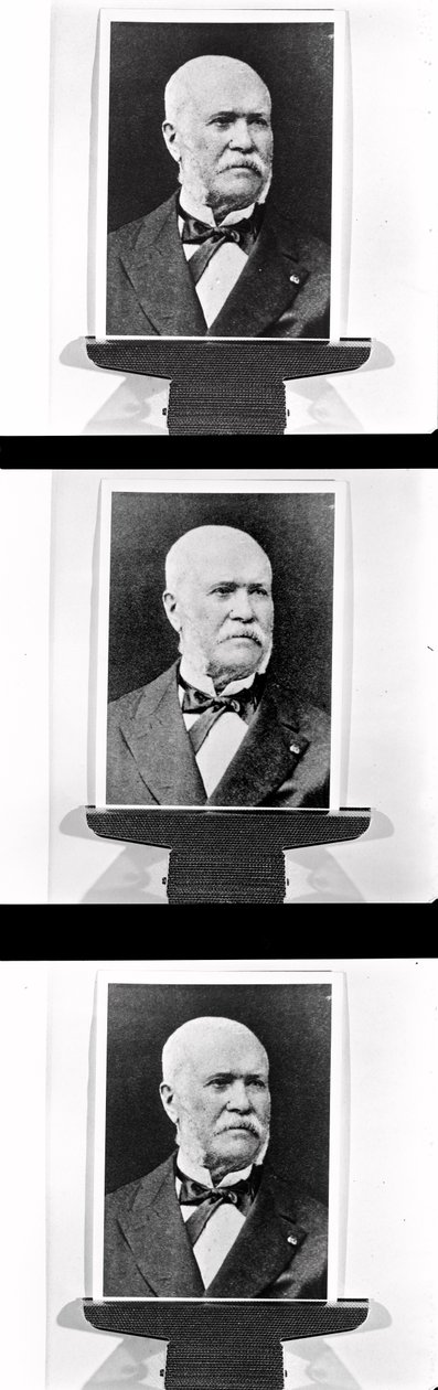 Portrét Eugena Belgranda (1810-78), c. 1870 od French Photographer