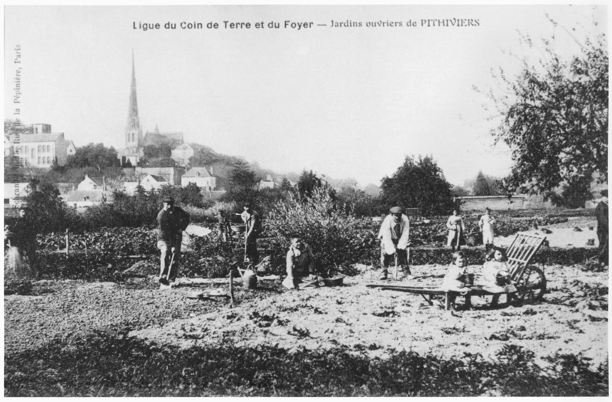 Pohlednice zobrazující kuchyňské zahrady pro dělníky v Pithiviers před rokem 1914 od French Photographer