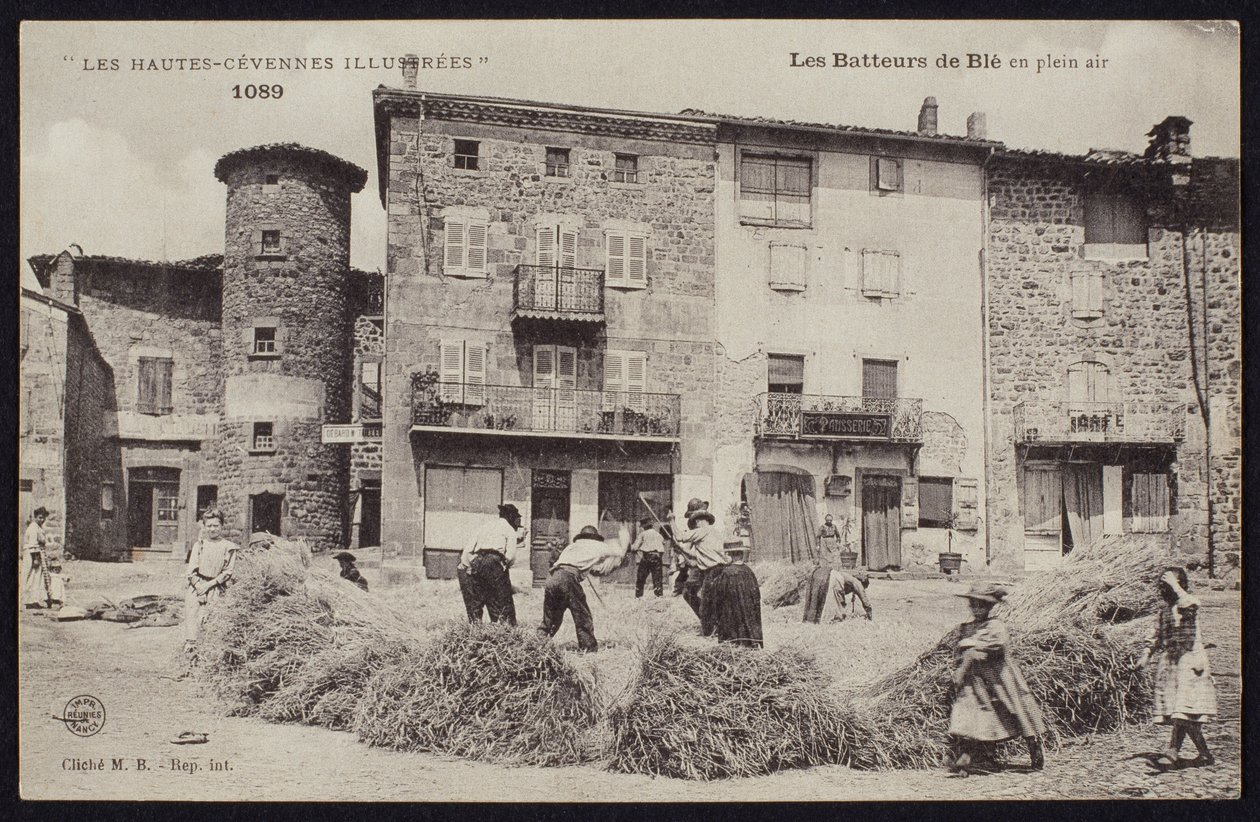 Pohlednice zobrazující mlátičky kukuřice v Cevennes, kolem roku 1900 od French Photographer