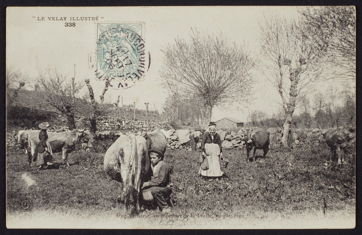Pohlednice zobrazující dobu dojení v Velay, kolem roku 1900 od French Photographer