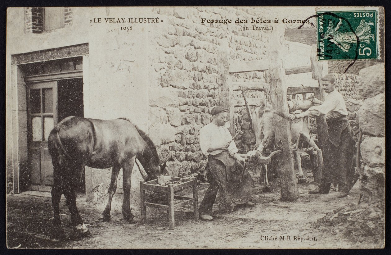 Pohlednice zobrazující kování koně v Cornes, Le Velay, kolem roku 1900 od French Photographer