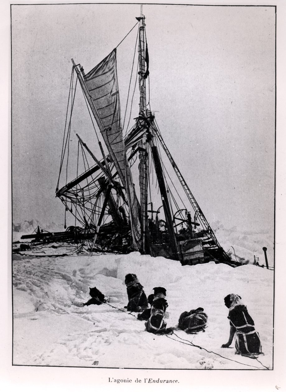 Agonie of The Endurance, od expedice na jižní pól Ernest Shackleton (1874-1922) 1914-1917 od French Photographer