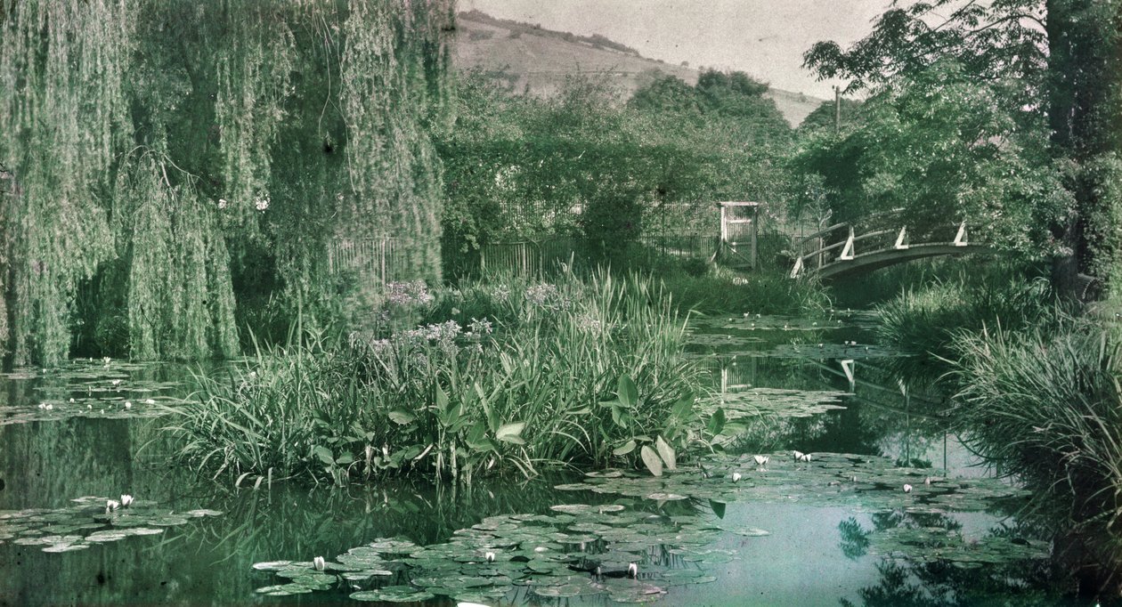 Leknínový rybník a japonský most v Monetově zahradě v Giverny, počátek 20. let 20. století (foto) od French Photographer