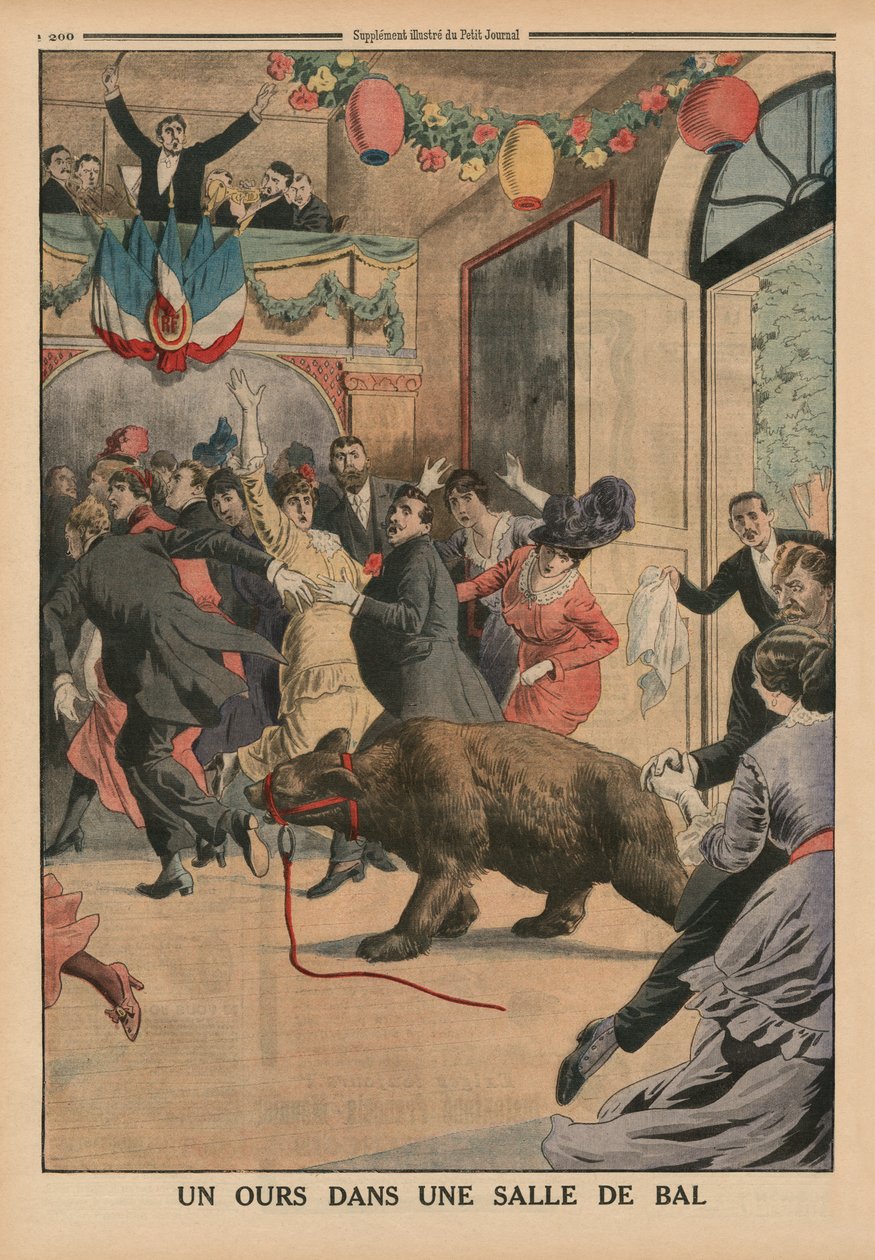 Medvěd v tanečním sále, ilustrace na zadní straně obálky z 
