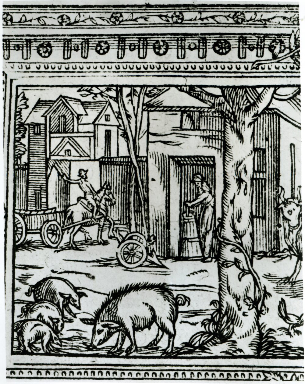Farma, ilustrace z 