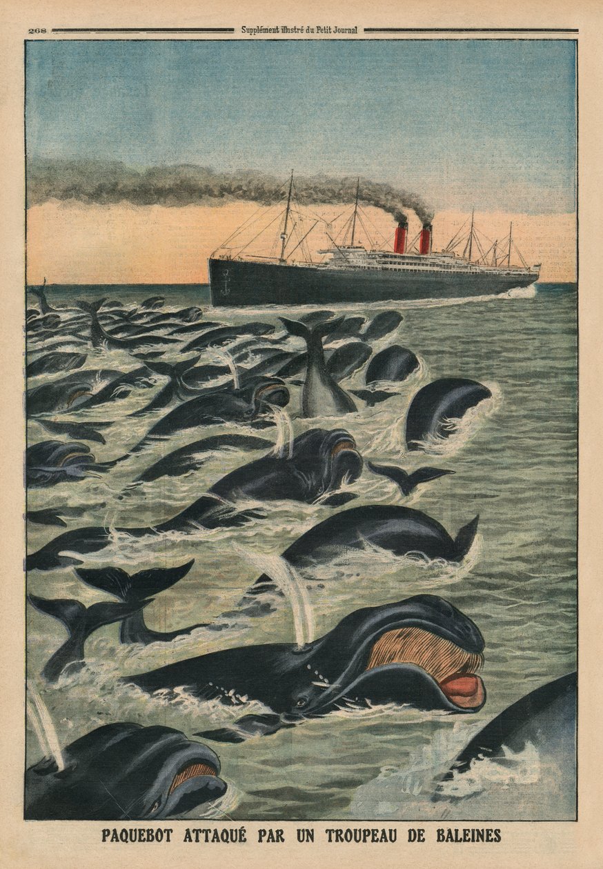 Hejno velryb útočících na parník, ilustrace na zadní straně obálky z 